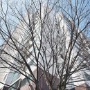 안흥공인중개사사무소 이미지