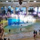 비고리조트 14 이미지