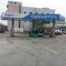 일동농협주유소 이미지