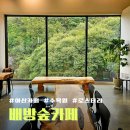 배방숲카페 | 아산 배방 수목원 분위기 산책하기 좋은 배방숲카페 내돈내산 후기