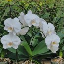 창호농장 이미지