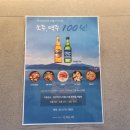 해운대 반려동물 동반가능 식당} 와이컬렉션 by UH FLAT 해운대비치 레스토랑 씨엘로 후기
