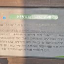 오인숲 이미지