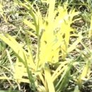 고향농장 이미지