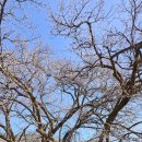 조계산도립공원 송광사 주차장 화장실 | [순천 조계산 등산코스] 선암사 ~ 장군봉 ~ 보리밥 ~ 송광사 천년불심길 일주, 봄이 오면 꼭 가야할...