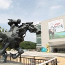 한국마사회 부산경남지역본부 이미지