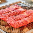 고향이동식당 이미지