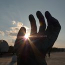 금빛바다 이미지