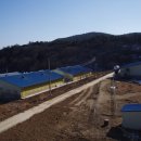 순천 종돈장 이미지