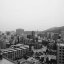 431001 이미지