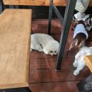 블루유치원 이미지