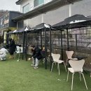 코코애견 | 시흥 애견카페 코코애견카페 | 내돈내산 솔직 후기
