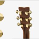 솔리드디자인 이미지