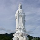 비밀의 사원 이미지