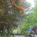 코레스코치악산콘도미니엄 Daum카페