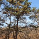 보성오씨 대문중재실 | 설날 조상님들께 성묘 다녀오기 죄송합니다 늦었습니다