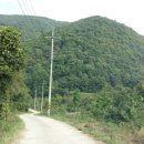 잭과 사과나무 이미지