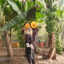 향토농장2 이미지