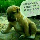 한주 이미지