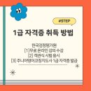 [1급과정] 쥬니어영어코칭지도사 1급 이미지