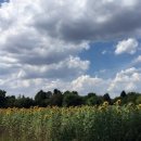 윤정농장 이미지