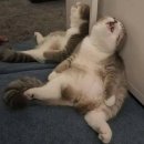 챔프PC방 이미지