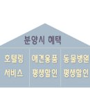 아기천사애견샵 | 대전강아지분양 더펫 유성본점, 5월 가정의달 최대 50% 할인 이벤트 (추가금 X)