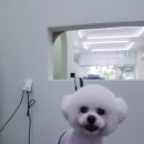 개도만족 이미지