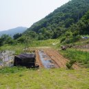 신읍리농장 이미지