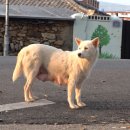 돌무덤농장 이미지