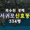 신효동-10 네이버블로그