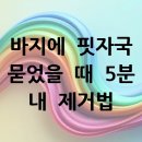 바지 핏자국, 5분 만에 깨끗하게 없애는 법