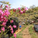 신내농장 이미지