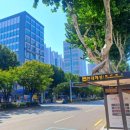 버스정류장(현대해상 앞) 이미지