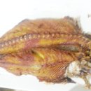 행복한정식 이미지