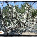 양화농장 이미지