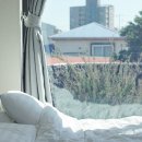 하루앤하루 이미지