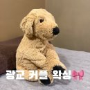 스크샵 | 광교 커플 왁싱 받고 둘 다 만족했던 인계동 프라이빗 샵 후기