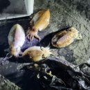 군산식당 이미지