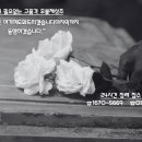 천연장례서비스