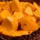 우리친구호프 이미지