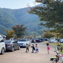 금수문화공원야영장 이미지