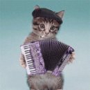 컴퓨터 교실 중급반 이미지