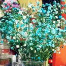 디아크 동물병원 이미지