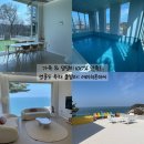 주방에 온 댕댕이 | 영흥도 에이치온더씨 풀빌라 후기 | 가족·반려견 동반 독채 수영장 숙소