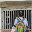 대룡산길 | 춘천신점 따뜻한 신점 상담, 춘천 할매신당 후기