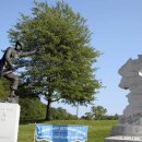 On War: Korean War 60th Anniversary 이미지