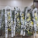 지리산골감국농부 이미지