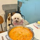 광교중앙로248번길 | 광교법조타운 점심식당 추천 &#39;떡볶이르블랑&#39; 즉석 떡볶이 후기