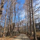 현대모비스마북어린이집 이미지